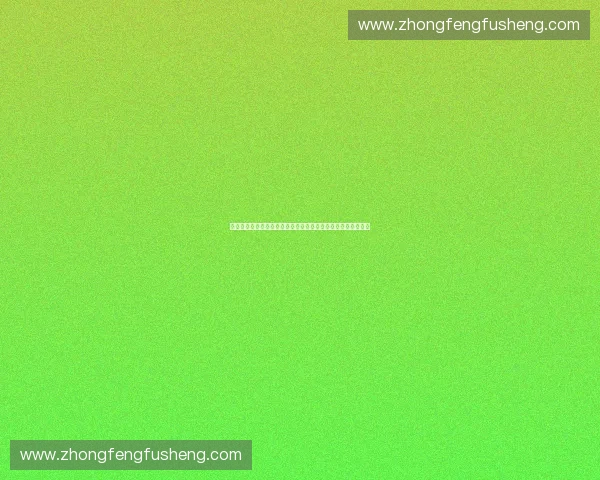 体育赛事管理机构创新机制推动竞技水平与产业发展的综合策略