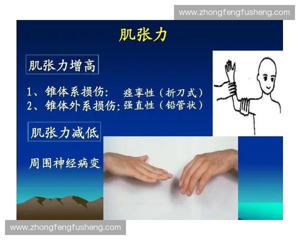 围绕肌肉恢复机制与训练后修复策略的系统性科学解析与实践指南