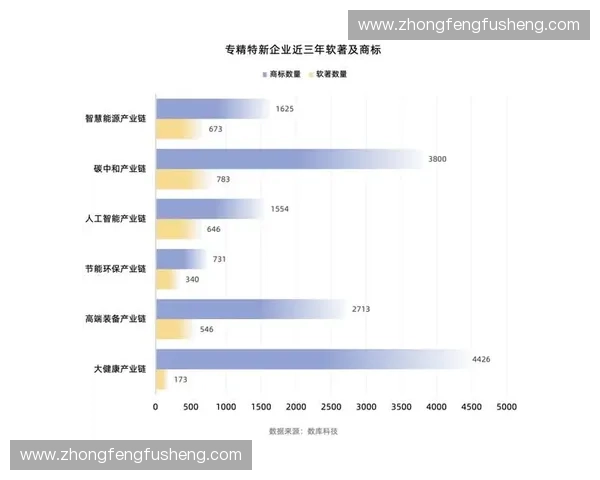 聚焦年轻消费与赛事生态构建体育品牌孵化创新增长新模式发展路径 聚焦年轻消费与赛事生态构建体育品牌孵化创新增长新模式发展路径